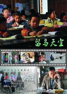 留鸟天空封面图