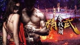 精武之拳战江湖封面图