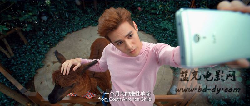 《睡在我上铺的兄弟》2016剧情爱情.HD1080P.中英双字截图