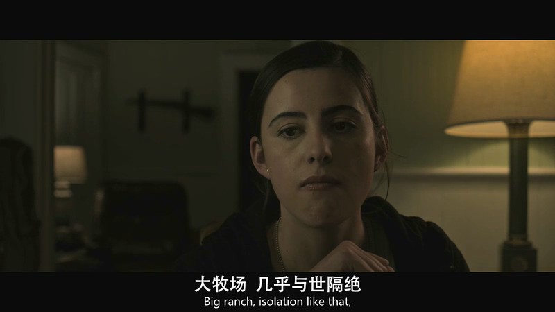 2020美国惊悚《捍卫家园》HD720P&HD1080P.英语中英双字截图