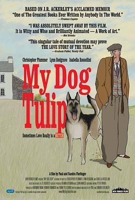 牧羊犬郁金香封面图