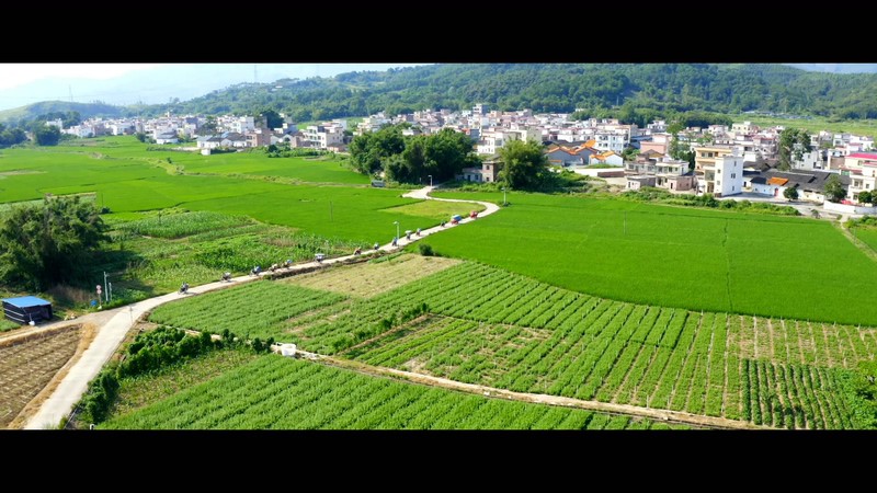 2021国产剧情《凤归梧桐》HD1080P.国语中字截图;jsessionid=GFt1wkhNPWQIJy-8zFKRRcWVI5LB3dOg991GIPsM