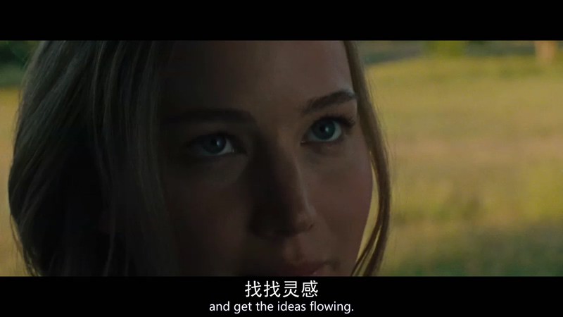 2017悬疑惊悚《母亲！》HD720P.英语中英双字截图