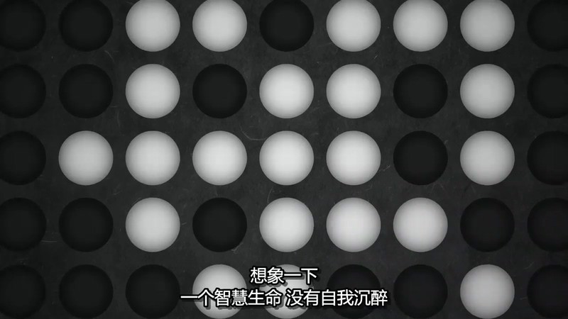 2018高分纪录《围之棋》HD720P.英语中字截图