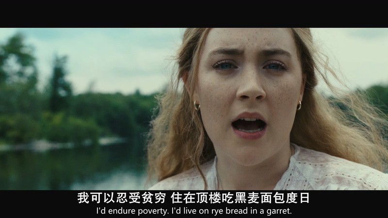 2018高分剧情《海鸥》BD720P&BD1080P.英语中英双字截图