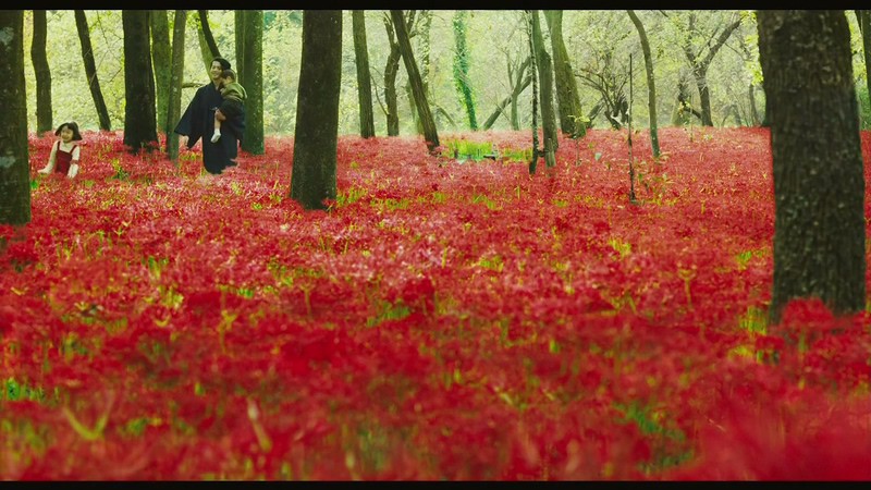 2019日本情色剧情《人间失格：太宰治和三个女人们》HD1080P.日语中字截图