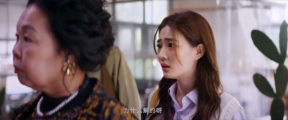 2023国剧《金牌客服董董恩》24集全.HD1080P.国语中字截图