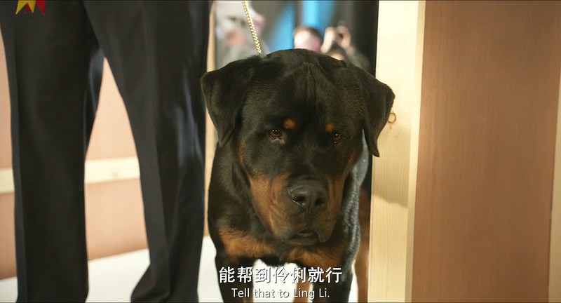 2018冒险喜剧《汪星卧底》BD720P.英语中英双字截图;jsessionid=Wb-Av6n0Di2nZXP5mQqmXcUEOI6LnqIKCOlWItZw
