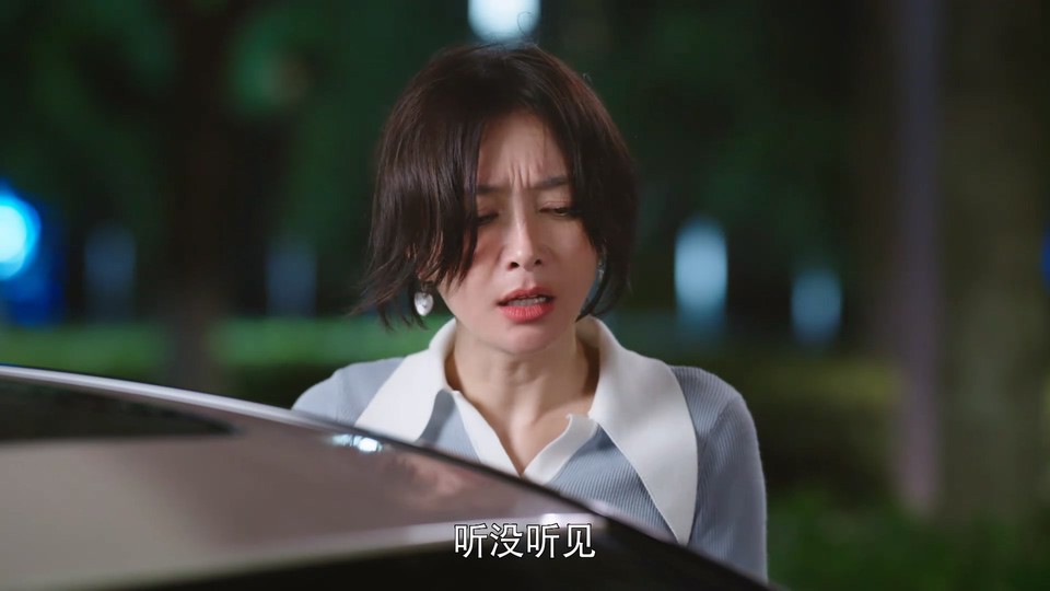 闪耀的她(20/32)2023国剧.HD1080P.国语中字