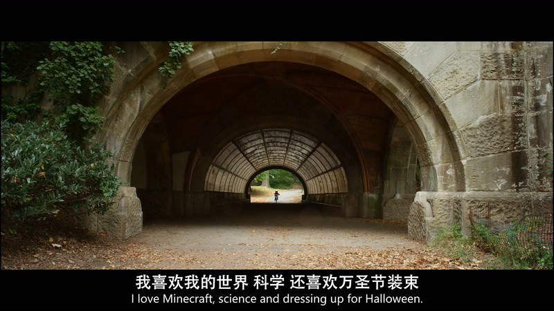 2017高分剧情《奇迹男孩》HD1080P.英语中英双字截图