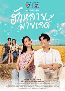 亲爱的女士封面图