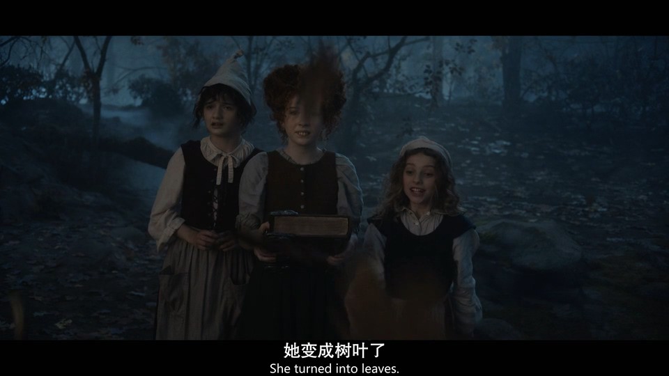 2022美国奇幻喜剧《女巫也疯狂2》HD1080P 迅雷下载