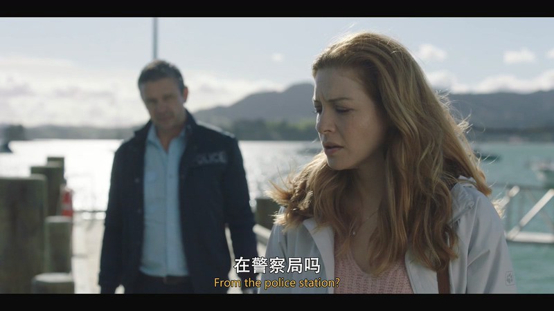 2020加剧《溺湾》8集全.HD1080P.英语中英双字截图