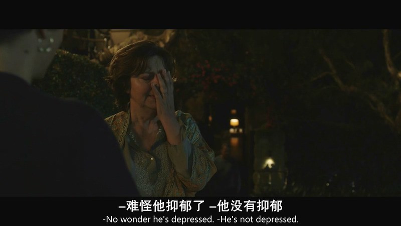 2019澳大利亚喜剧《棕榈滩》BD720P&BD1080P.英语中英双字截图