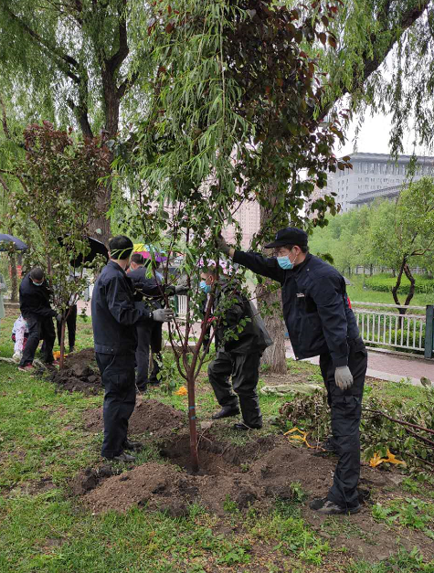 播种爱心 收获希望——暨红旗城团队儿童节爱心植树活动精彩回顾(图3)