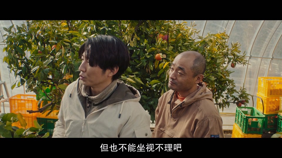 点击在新窗口打开