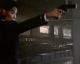 处刑警察封面图