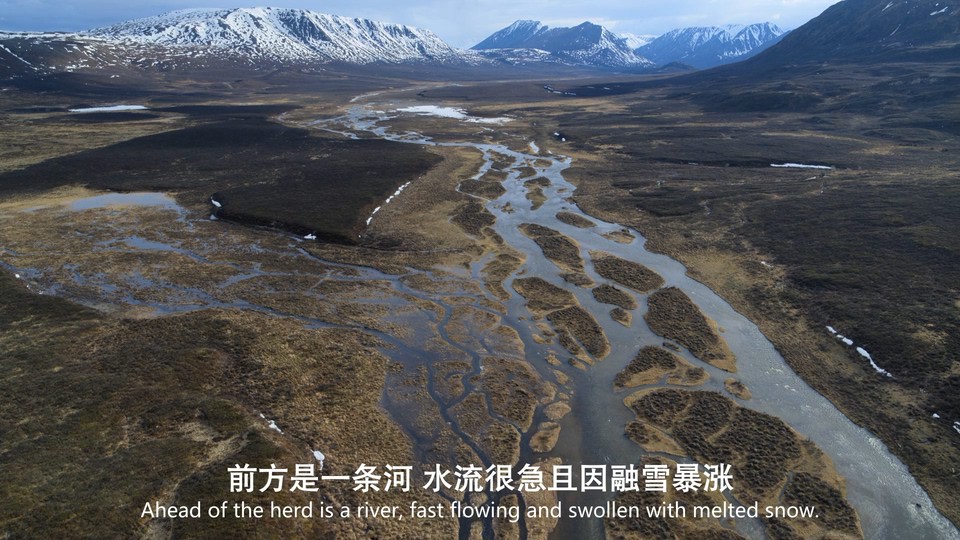 点击在新窗口打开