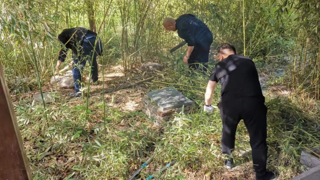 親力親為修剪竹林 開源節(jié)流厲行節(jié)約