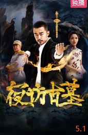 夜访古墓封面图