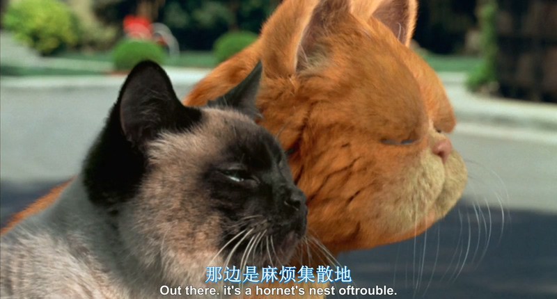 2004喜剧片《加菲猫》BD720P&BD1080P.国英台粤四语中英双字截图;jsessionid=X4pzngvKVqE2pybP1-aj-bNRAhXuND8bfJ1WvMOu