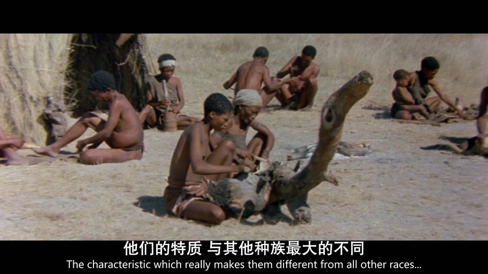 上帝也疯狂1剧照