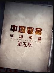 罪案现场实录第五季封面图