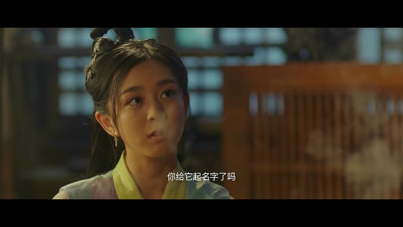 2020古装悬疑《隐市奇闻录》HD1080P.国语中字截图