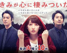 你已藏在我心底封面图