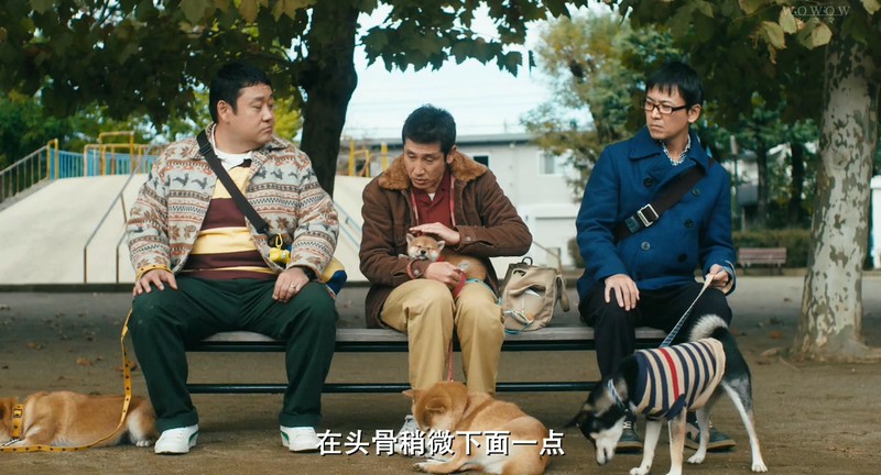 2019日本喜剧《柴犬公园》HD720P&HD1080P.日语中字截图