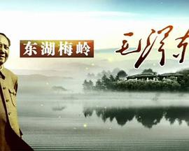 东湖梅岭毛泽东封面图