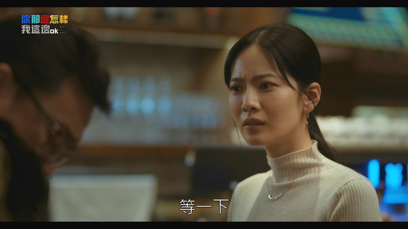 2019犯罪悬疑《你那边怎样我这边ok》更至22集.HD1080P.国语中字截图