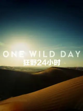 野性24小时第一季封面图