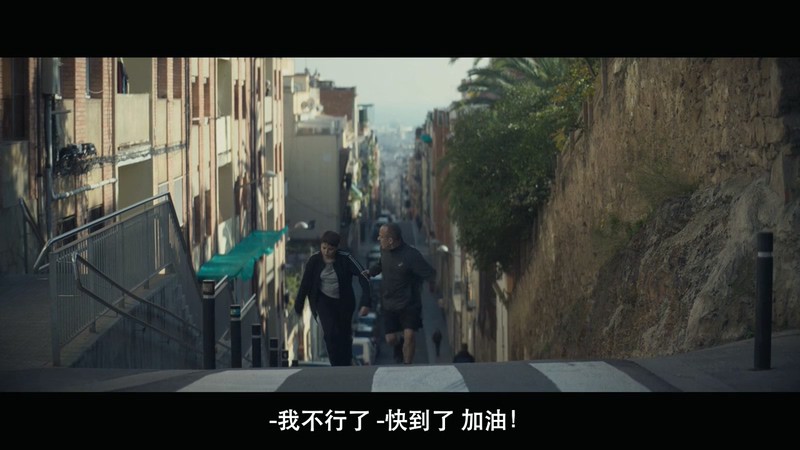 2020西班牙惊悚《家怨》HD720P&HD1080P.西班牙语中字截图