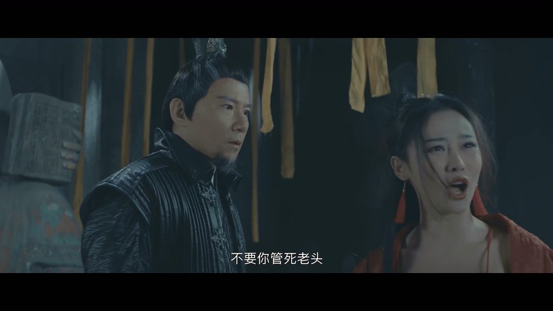 2019国产动作《碧血锦衣卫》HD1080P.国语中字截图