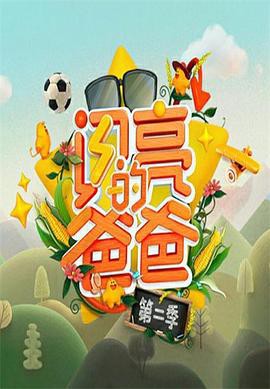 闪亮的爸爸第二季封面图