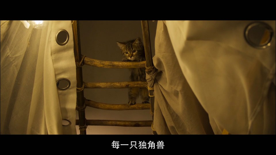 点击在新窗口打开