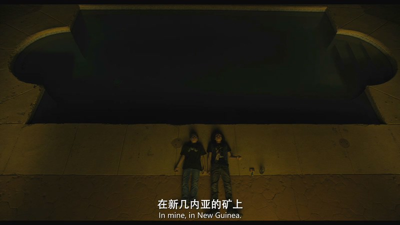2019美国剧情《金翅雀》BD720P&BD1080P.英语中英双字截图