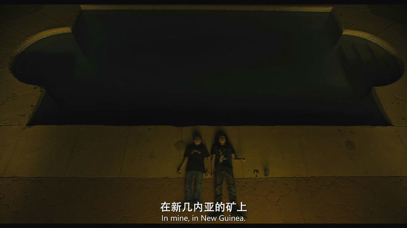 2019美国剧情《金翅雀》BD720P&BD1080P.英语中英双字截图