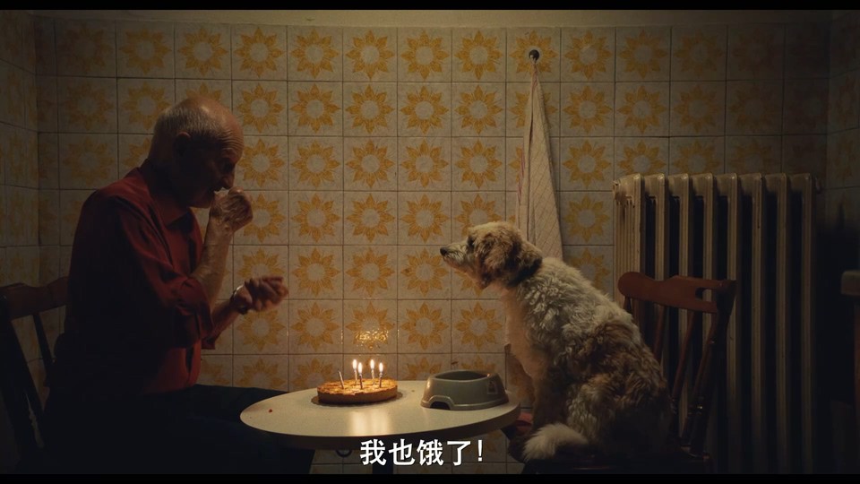 2020意大利纪录《松露猎人》BD1080P.意大利语中字截图;jsessionid=p1YLFjeMVmocfFlOb872KendB-KK_vnLFOHclqOw