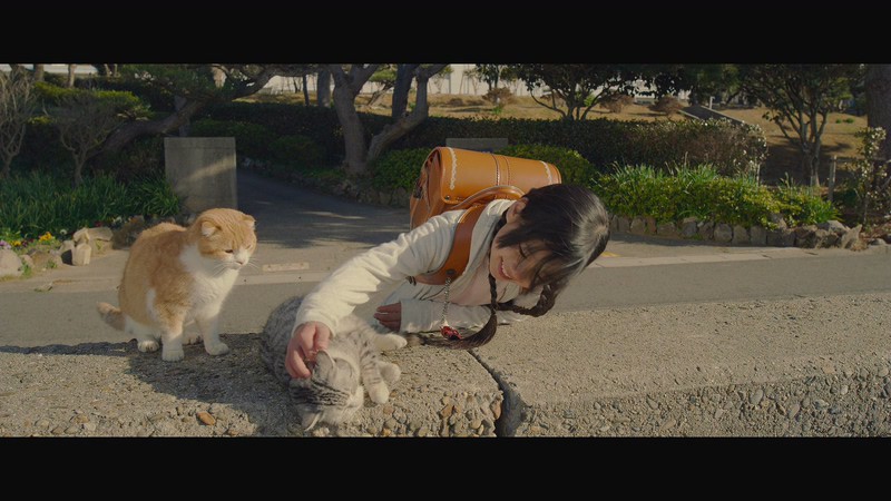 2019高分剧情《猫与爷爷》BD720P&BD1080P.日语中字截图;jsessionid=o9CNcuoqoEgERSMHkP4EhSHg6VoKajz1An4iN56K