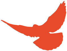 福建高速养护网 -  千亿（中国）体育登录入口