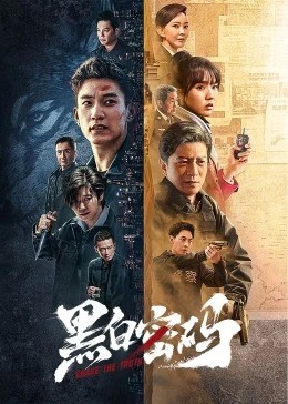 2023国剧《黑白密码》24集全.HD1080P.国语中字-有趣BT