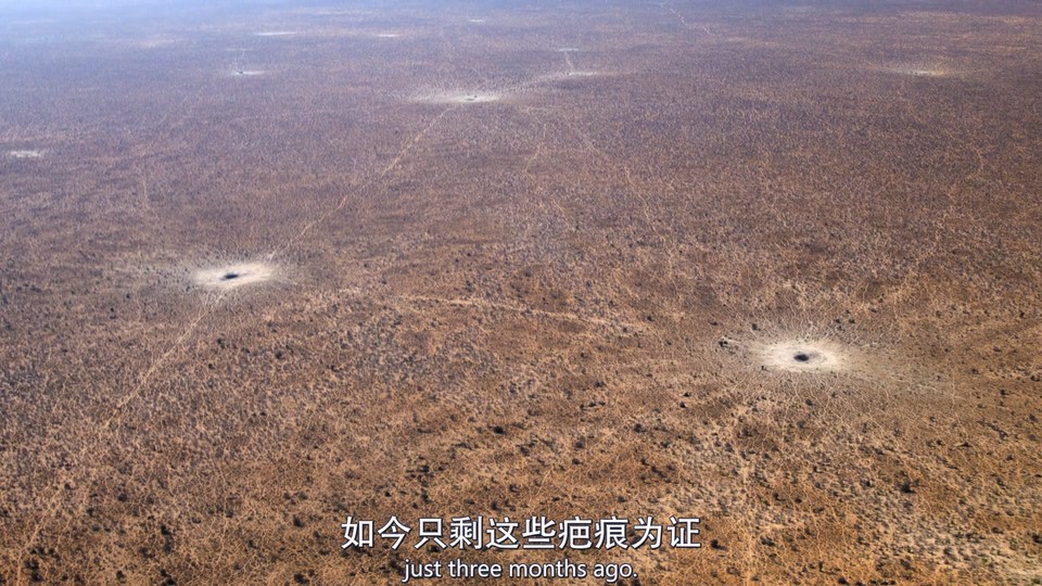 2023英国纪录《我们的星球 第二季》4集全.HD1080P.英语中英双字截图;jsessionid=MqF2vSswXBQ-U3Wrfo3cNUrw5TKuaCkvICcHk8rt