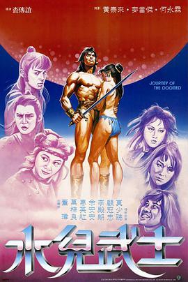 水儿武士1985封面图