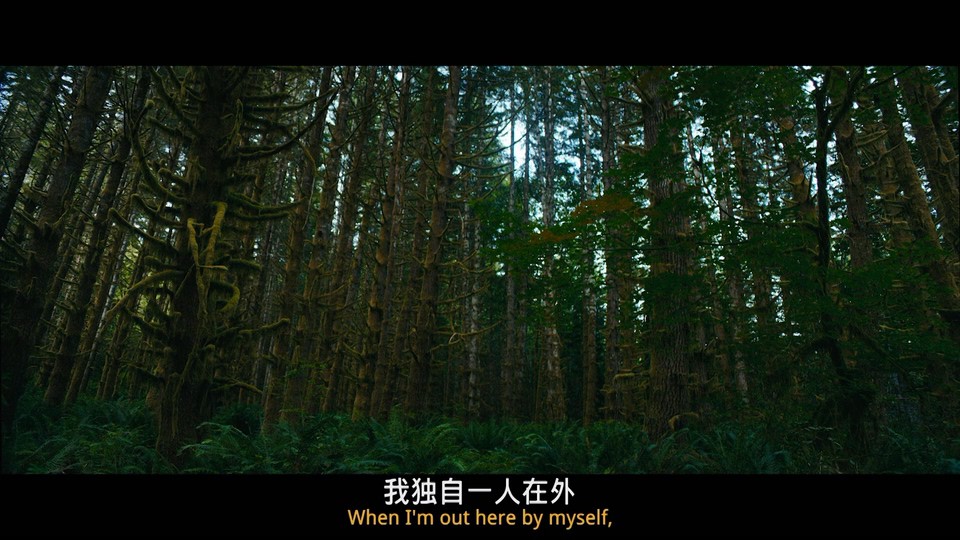 2021美国动作《猎人》BD720P&BD1080P.英语中英双字截图