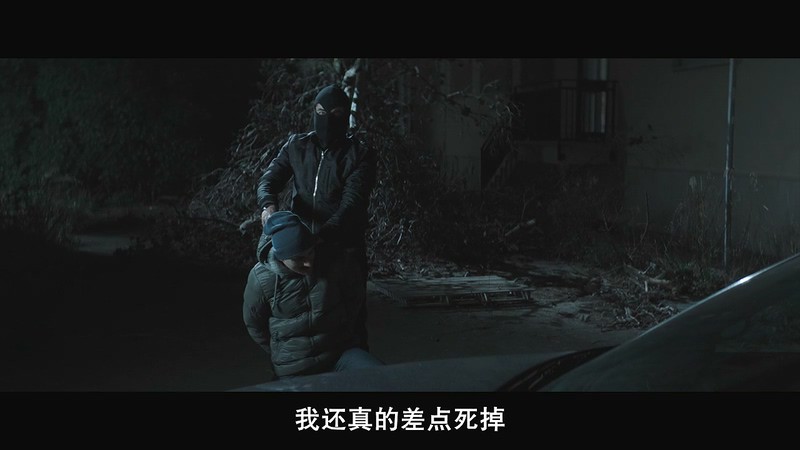 2019意大利惊悚《我不是杀手》HD720P&HD1080P.意大利语中字截图