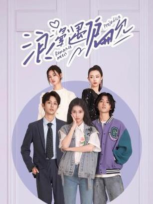 浪漫遇偏见封面图