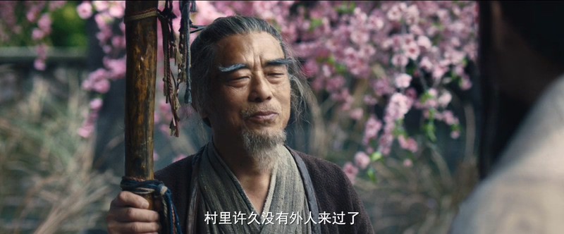 2020古装动作《龙虎山张天师.麒麟》HD1080P.国语中字截图