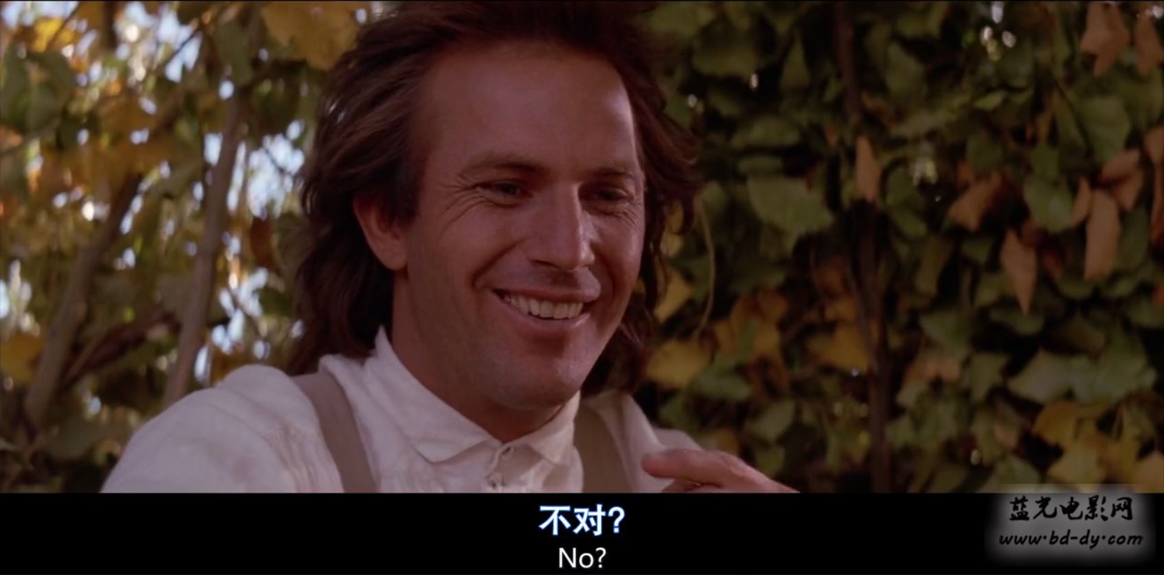 《与狼共舞》1990高分西部冒险.导演剪辑版.BD720P.国英双语.高清中英双字截图